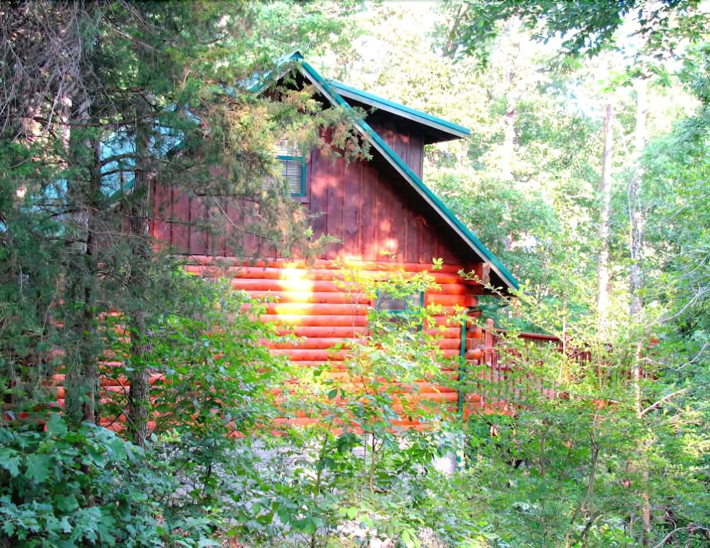 Cabin Fever Resort