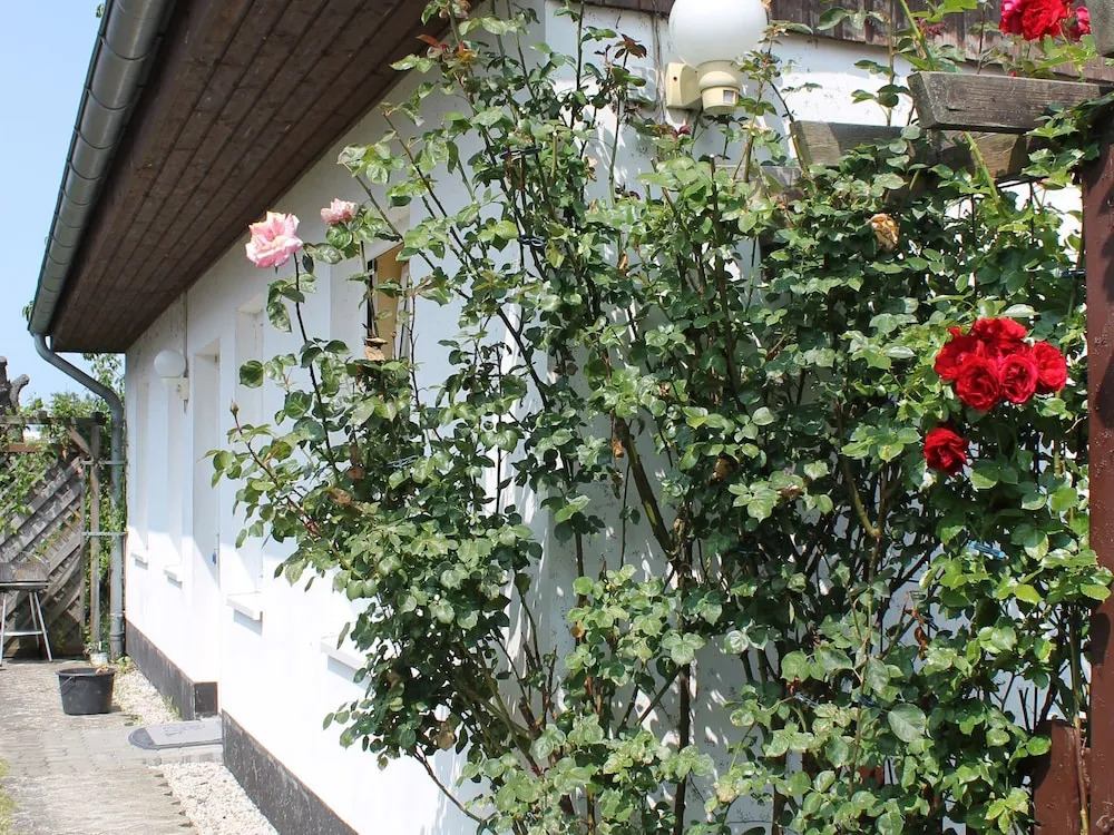 Spacious Bungalow in Kühlungsborn near Sea Beach