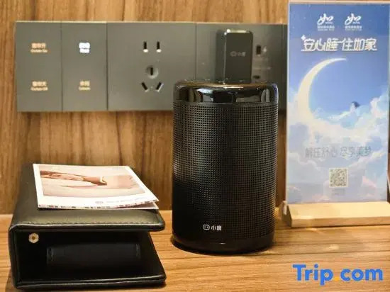 Homeinn Collection Hotel (Tai'an Wenquan Road)