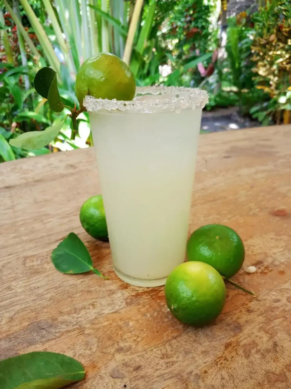 Mango Moon