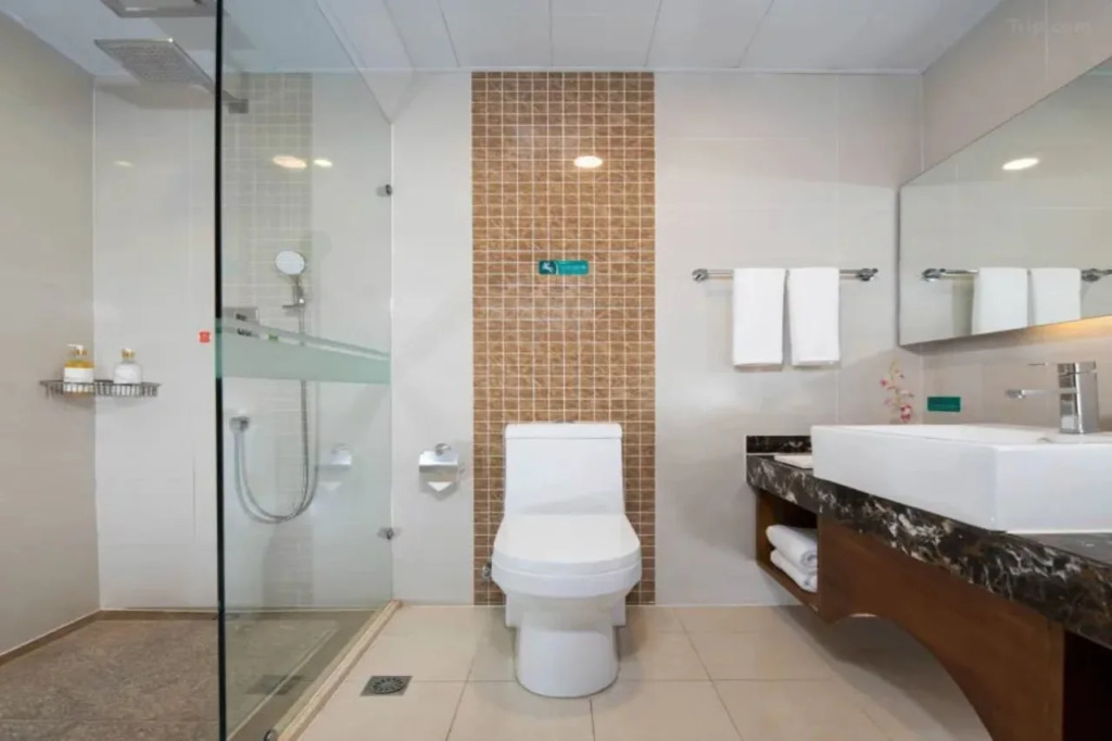 Vienna Classic Hotel (Shanghai Tinglin)