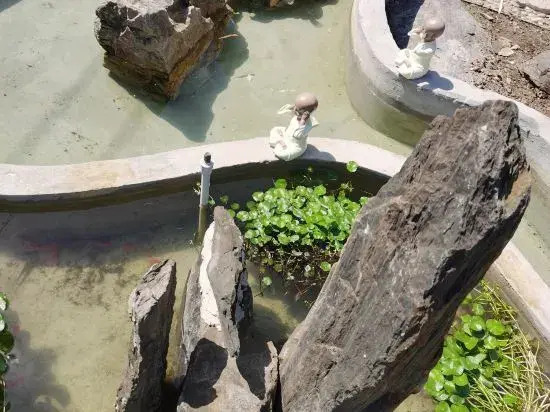YunLu Homestay (Shanghai International Tourism Resort)