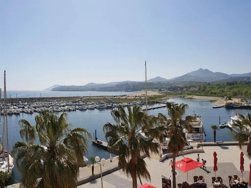 Appartement Argelès-sur-Mer, 2 pièces, 6 personnes - FR-1-388-117
