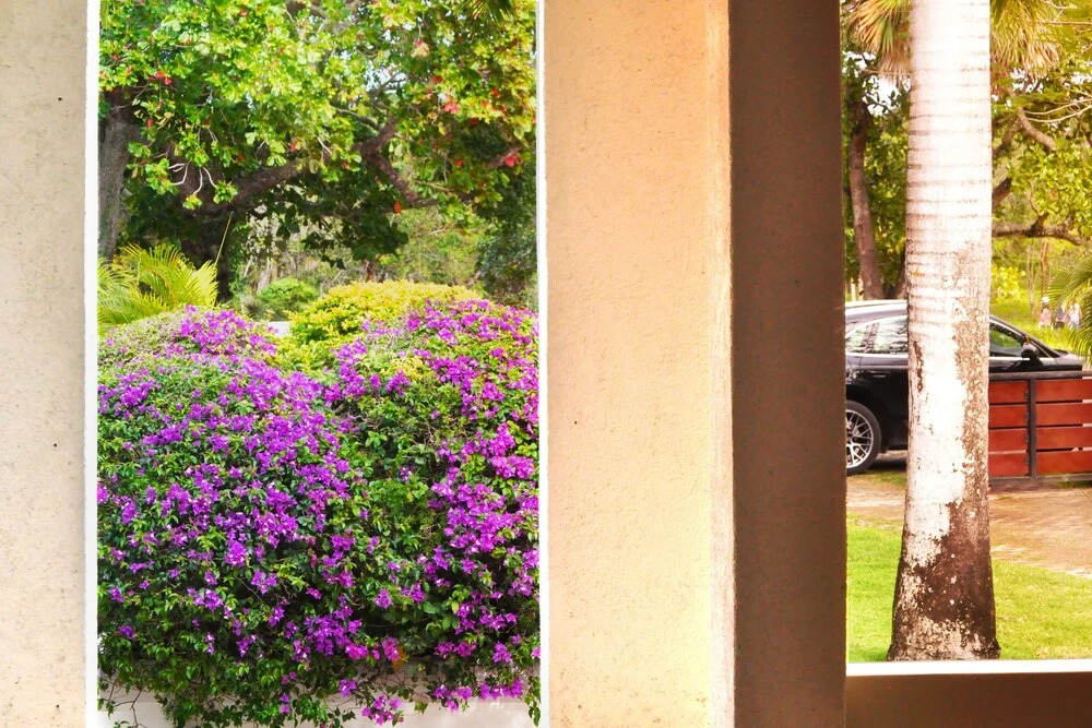 Instyle Residences at Seahorse Ranch Villa 118