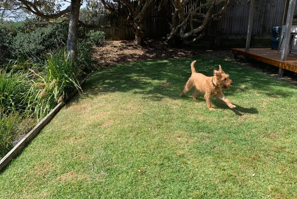 Burra Beach Retreat for Two