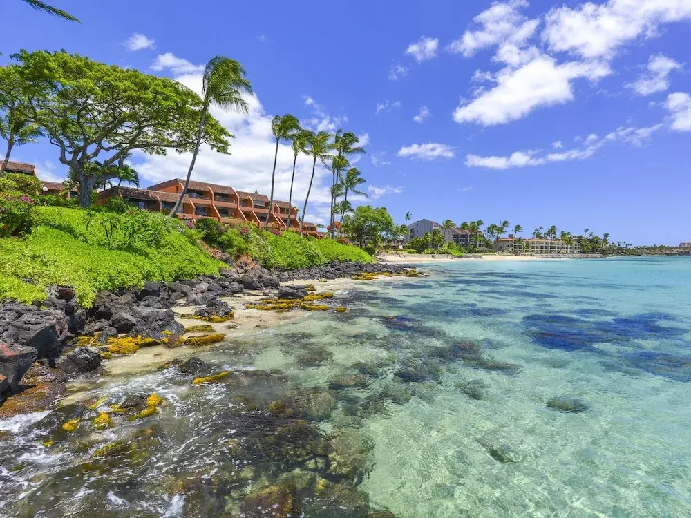 Kuleana 313 - 1Br Condo