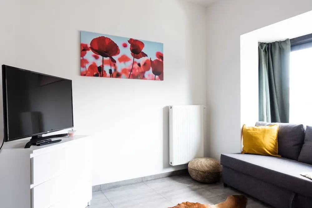 Antwerp City Center Furnished Apartments
