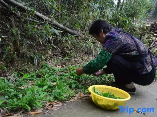 Shaoxing Rice House homestay