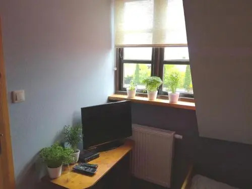 Pod Wierzbą