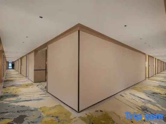 Yipan Hotel (Guanggu Biocity Maternal and Child Health Hospital)