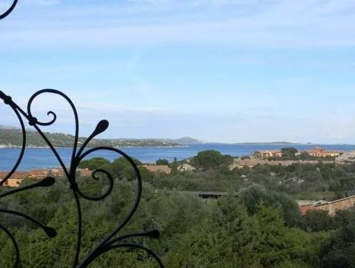 Asfodeli di Marinella
