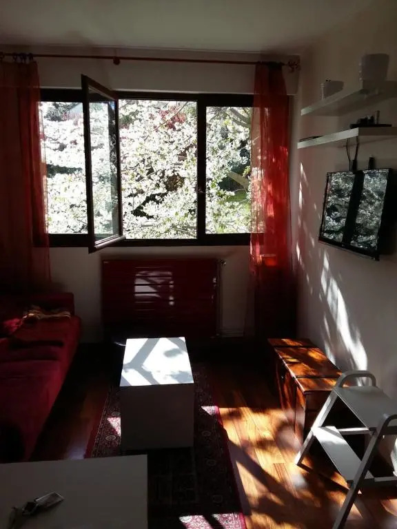 studio bellevue