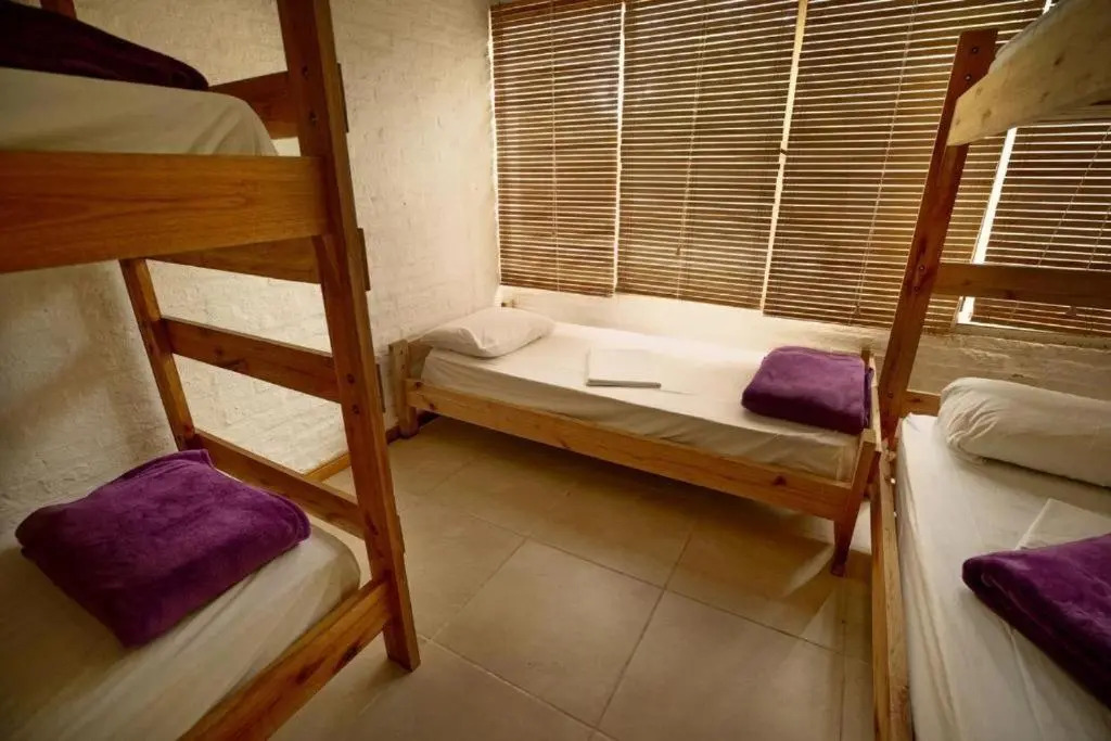 Hostel Punta Ballena Bar