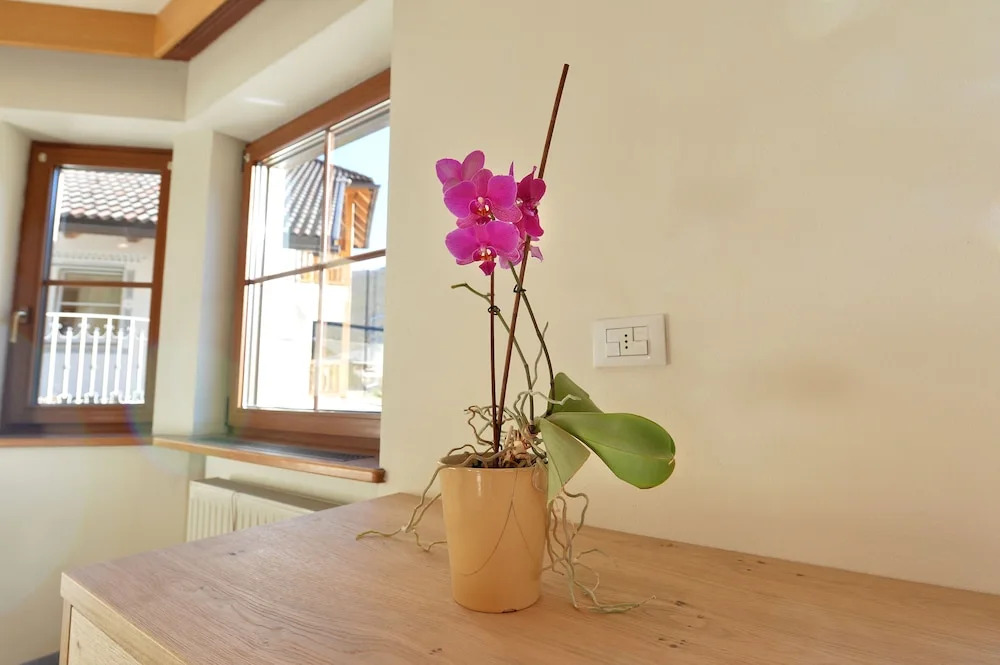 Apartment 4 Holiday - Wolly