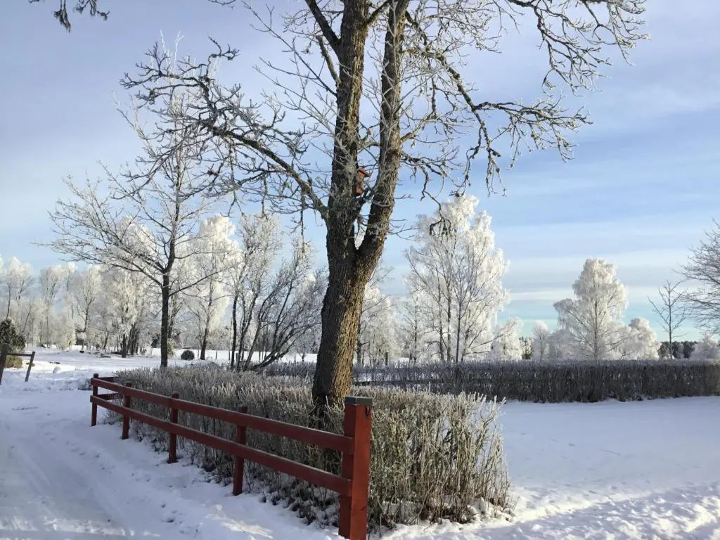 Stuga Linnebråten