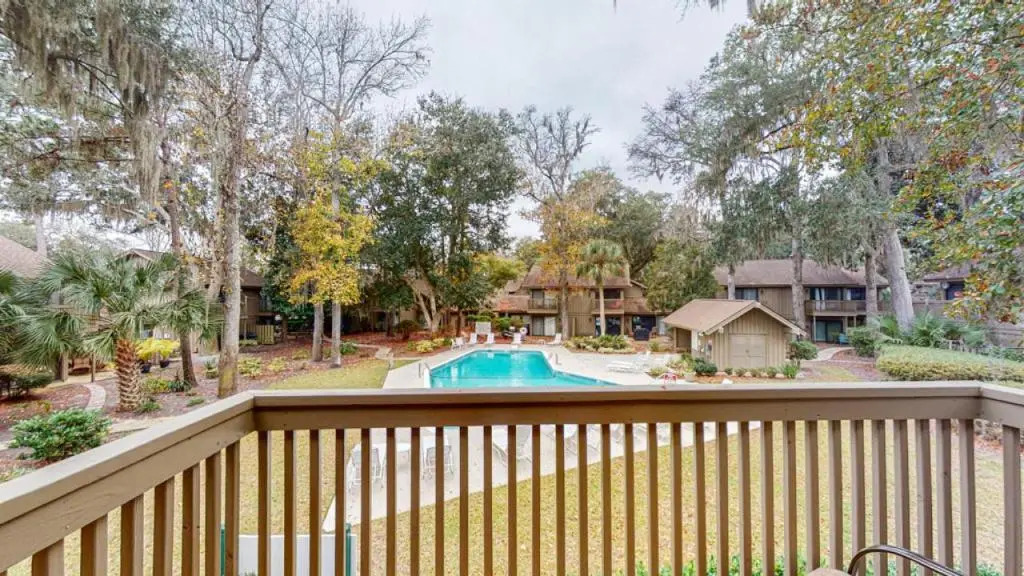 35 Water Oak