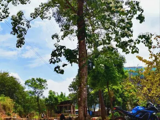 Shuiyun Jingshe Hot Spring Hotel (Xinfeng Meikeng)