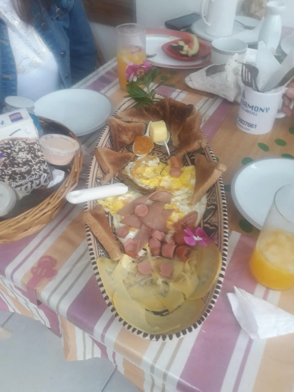 Palmitas Hostel with tropical garden & pool