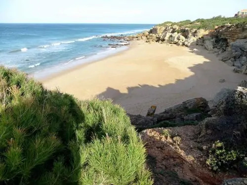 Villa Amor