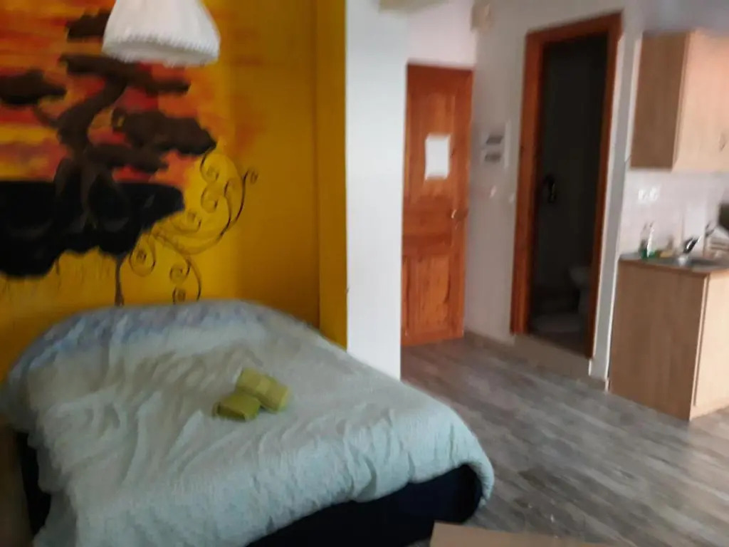 The studio with the bohemian ambiance