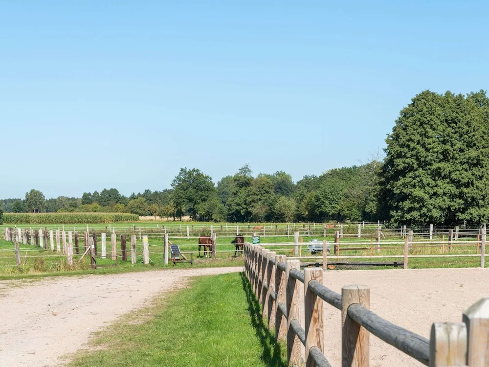 Blockhäuser auf Reiterhof in Eschede