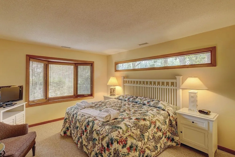 Willow Oak 2