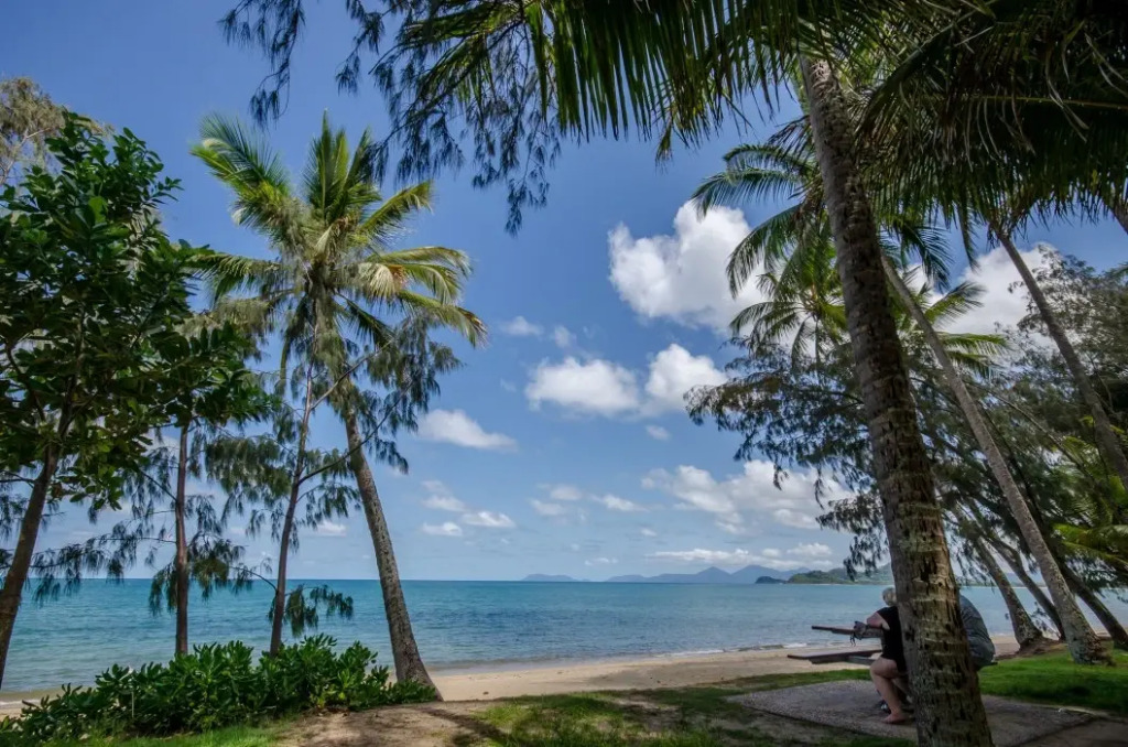 On Palm Cove Beachfront Apartments