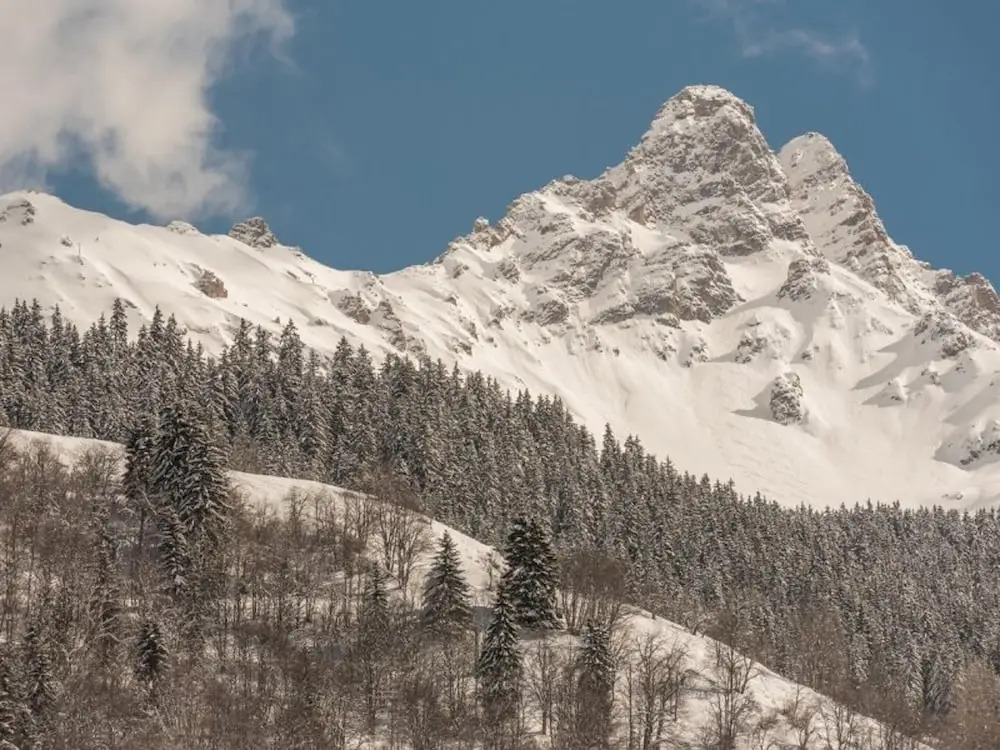 Apartment With one Bedroom in Les Allues, With Wonderful Mountain View and Balcony - 150 m From the Slopes