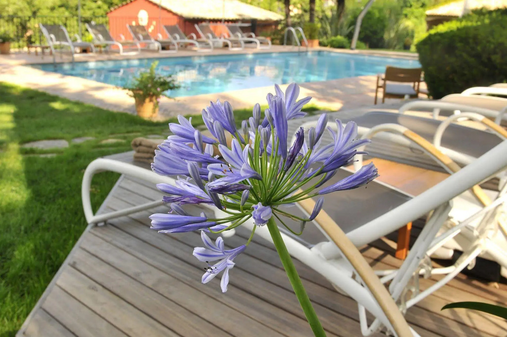 Hotel****Spa & Restaurant Cantemerle