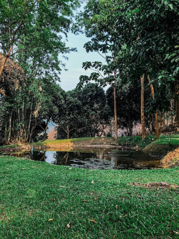 HugHome Valley Chiang Dao Hostel