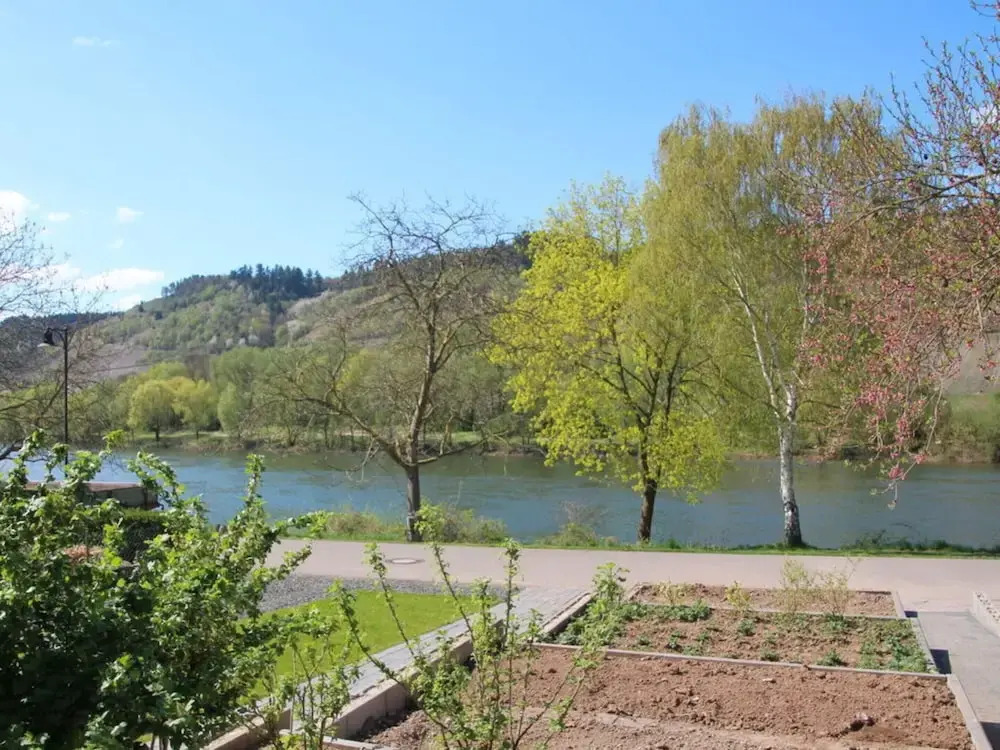Riesling Apartment on the Moselle Terrace