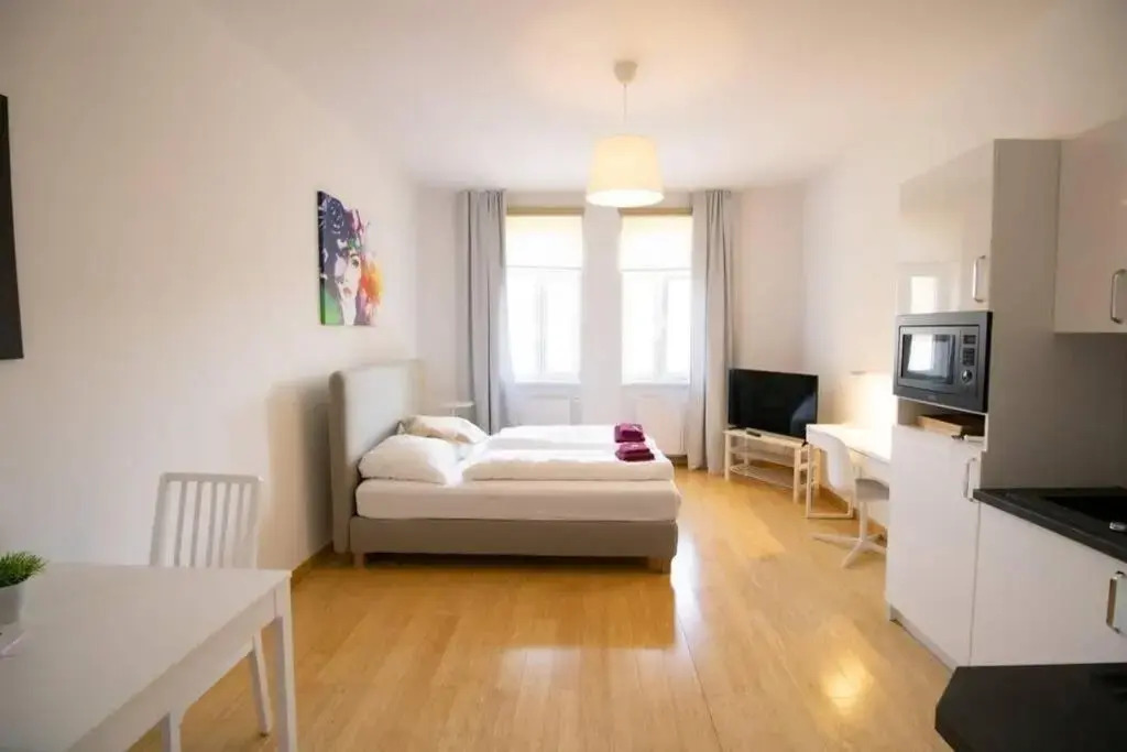 Studio-Apartment between Schoenbrunn & the City Center (30)