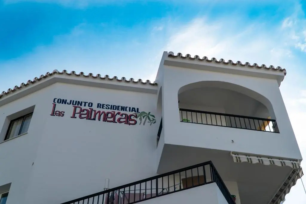 Palmeras 31 Menyber