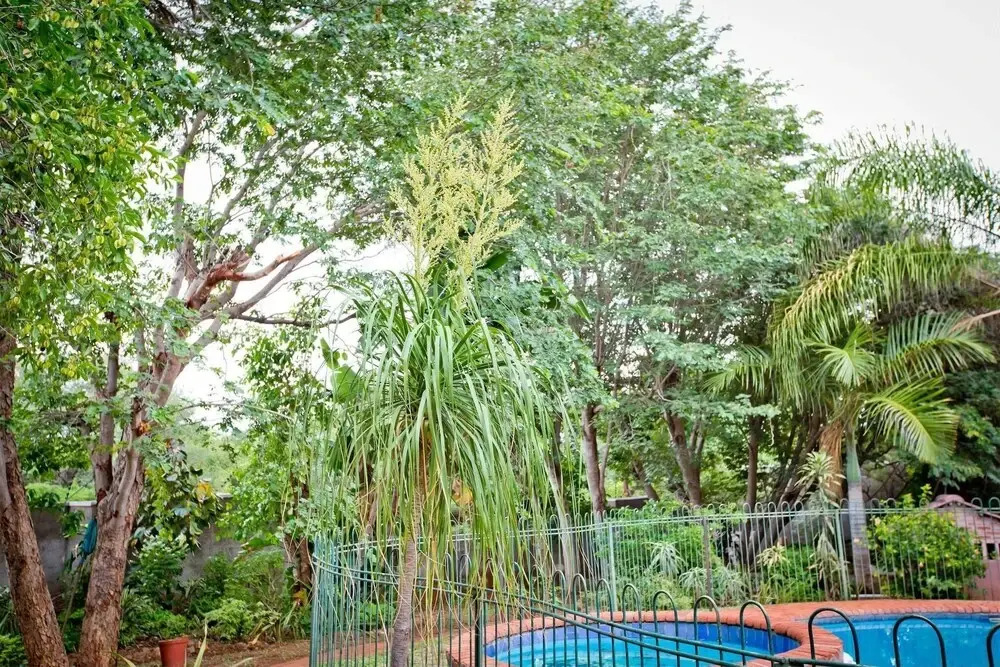 Mudita Self Catering
