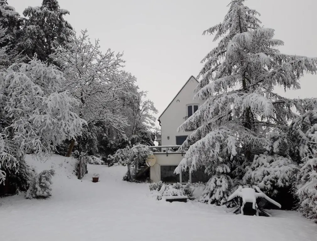 Pension Altes Rathaus