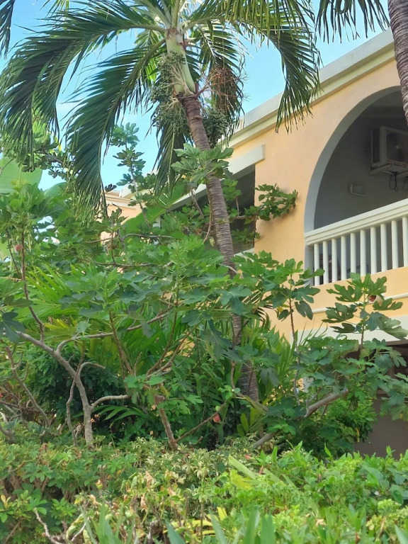 Northshore Seaside Suites