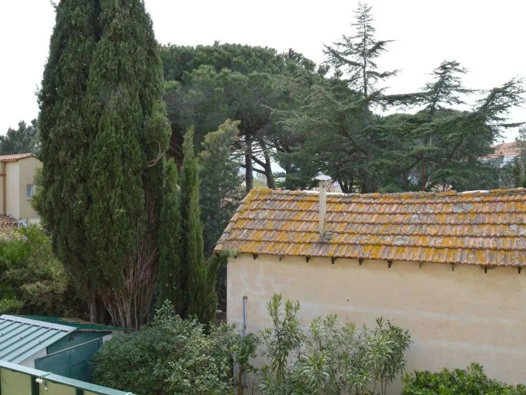 Appartement Argelès-sur-Mer, 2 pièces, 4 personnes - FR-1-225-670