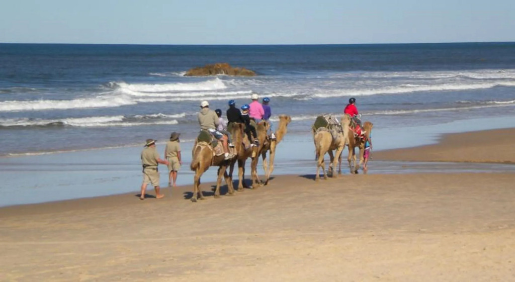 Flynns Beach Resort
