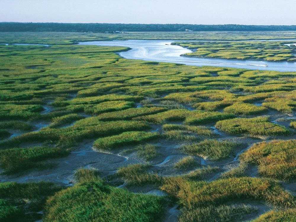 The Lodge at Sea Island