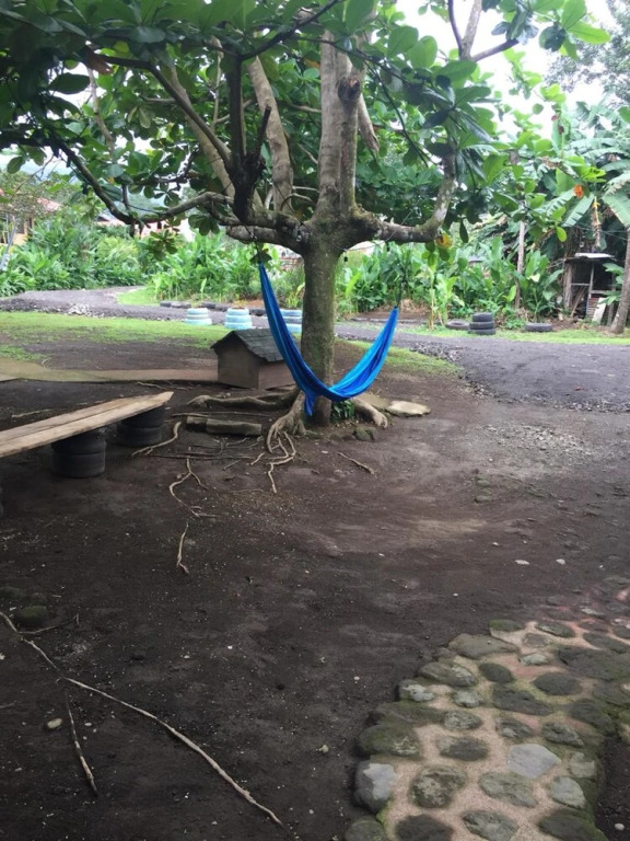 Anne's Place
