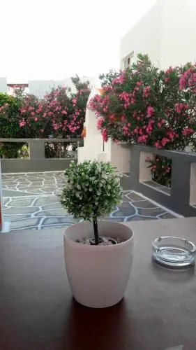 Georges Place