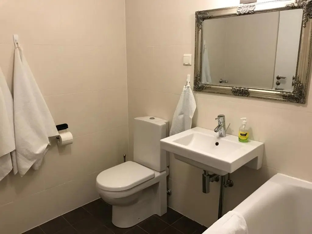 Roseni City Apartment