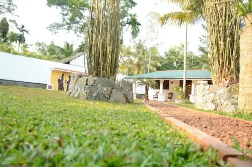 New Greenish Villa
