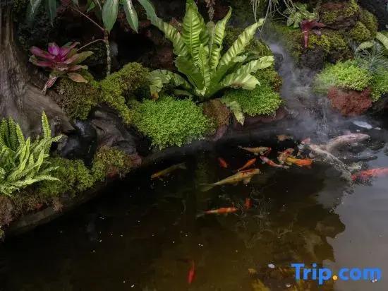 Tuwa Homestay