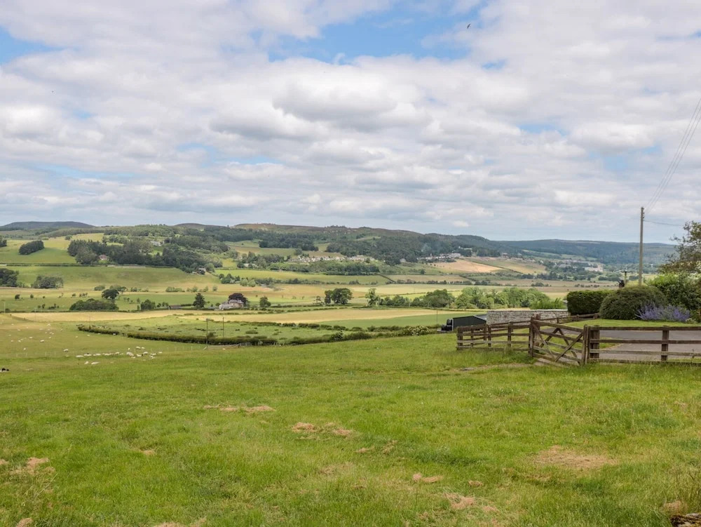 The Steadings