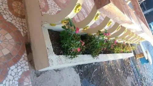 Brisas Del Pacifico