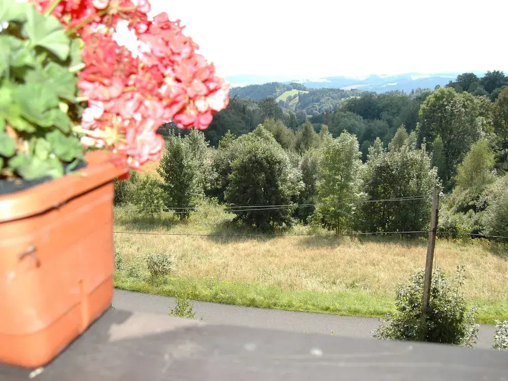 Spacious Cottage in the Giant Mountains, Near the Ski Slopes