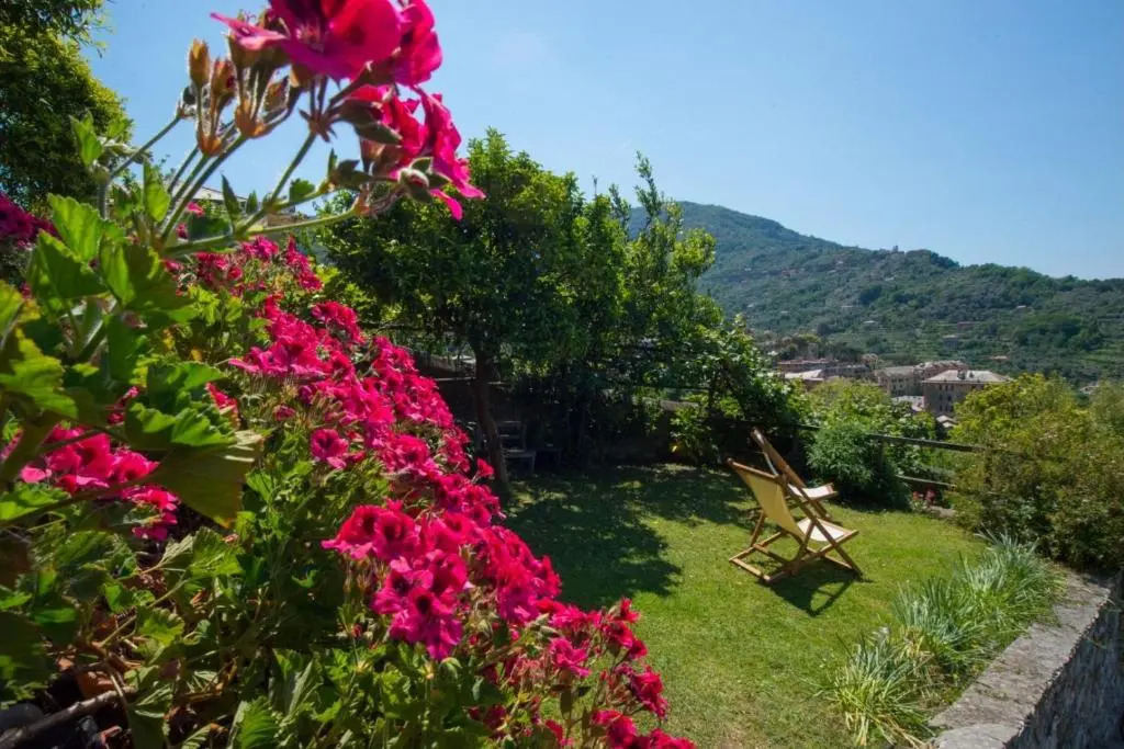 Le Clementine B&B