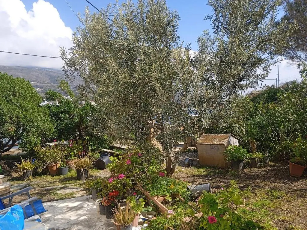 Villa Athina 3