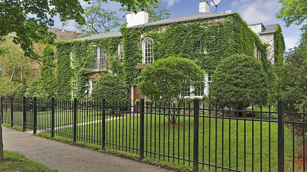 Victorian Ivy